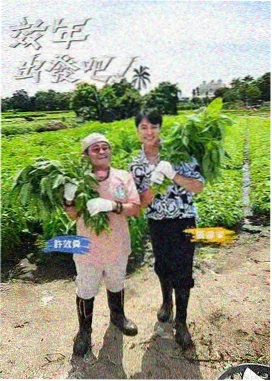 一路向野户外综艺在线观看的网站